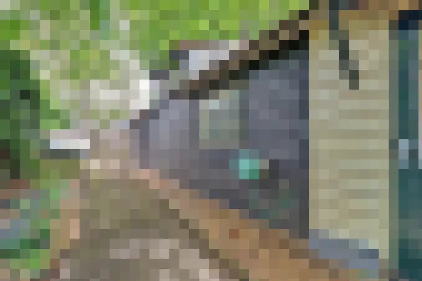Driestweg 22 Nunspeet thumbnail 81