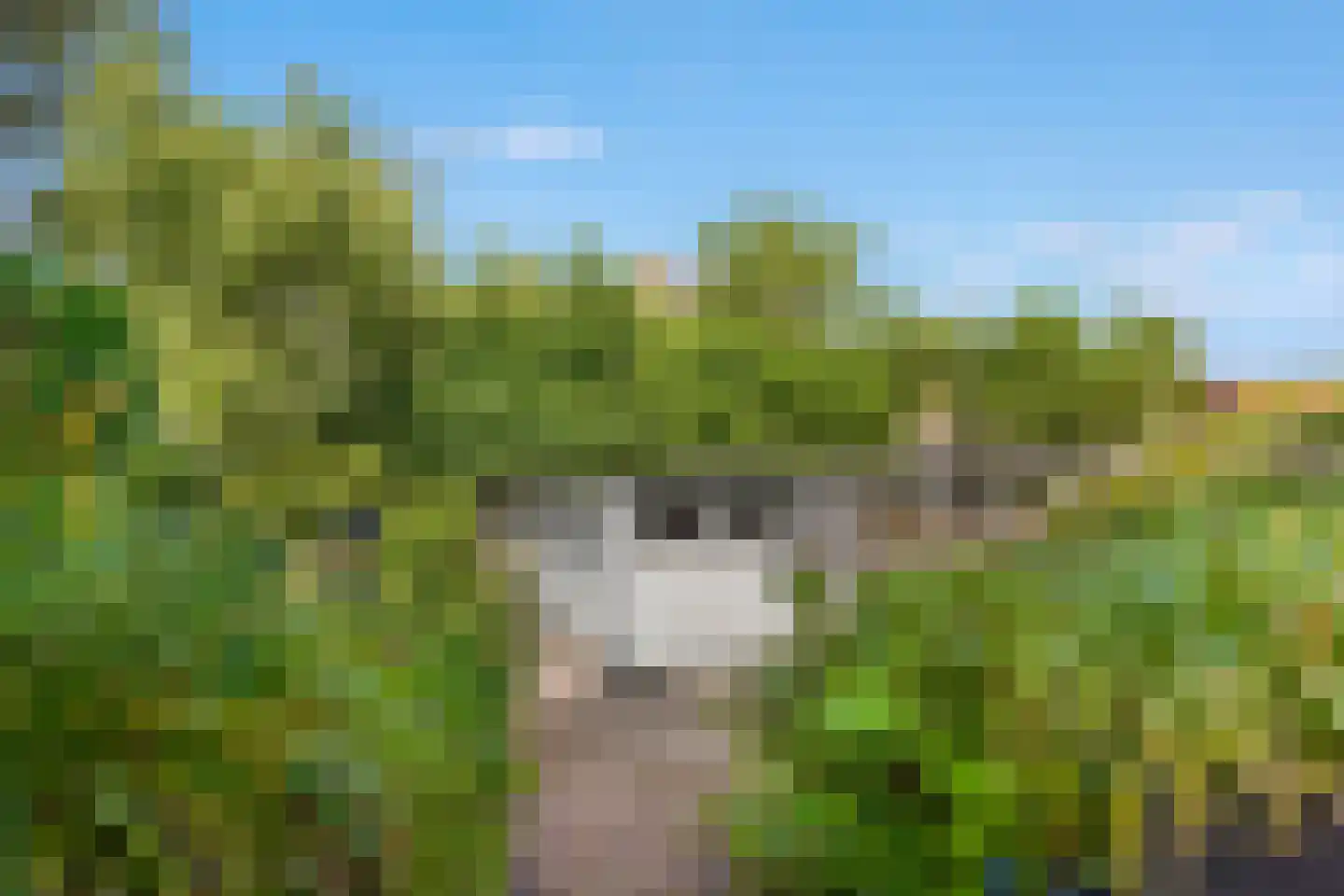 Driestweg 23 Bussum thumbnail 42