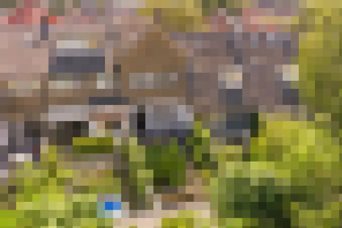 Driestweg 23 Bussum thumbnail 46