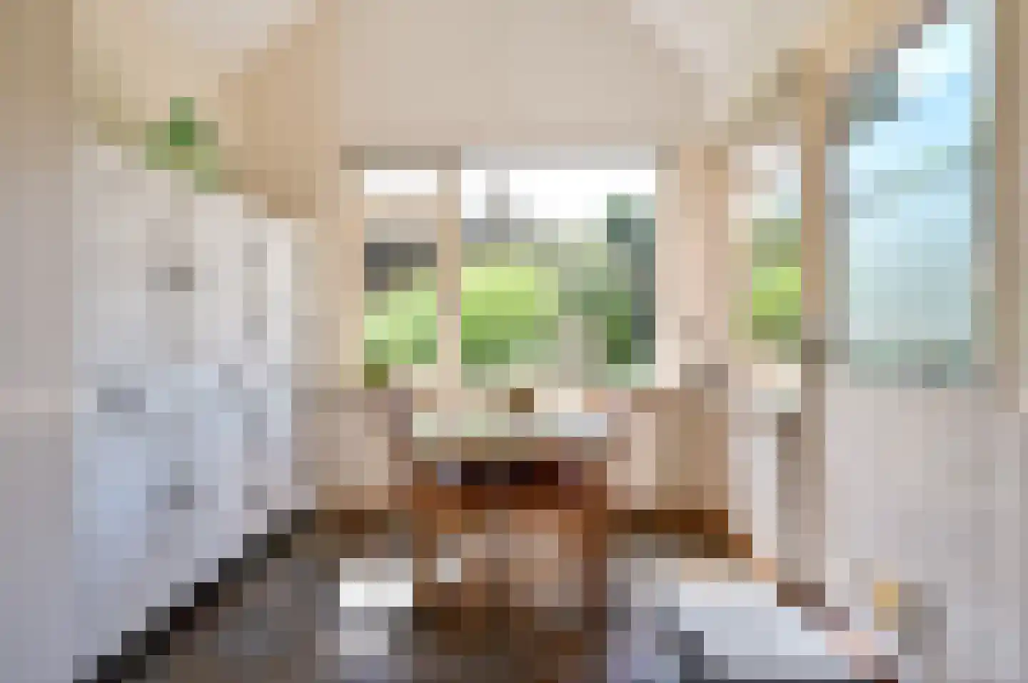 Driestweg 26 a Nunspeet thumbnail 14