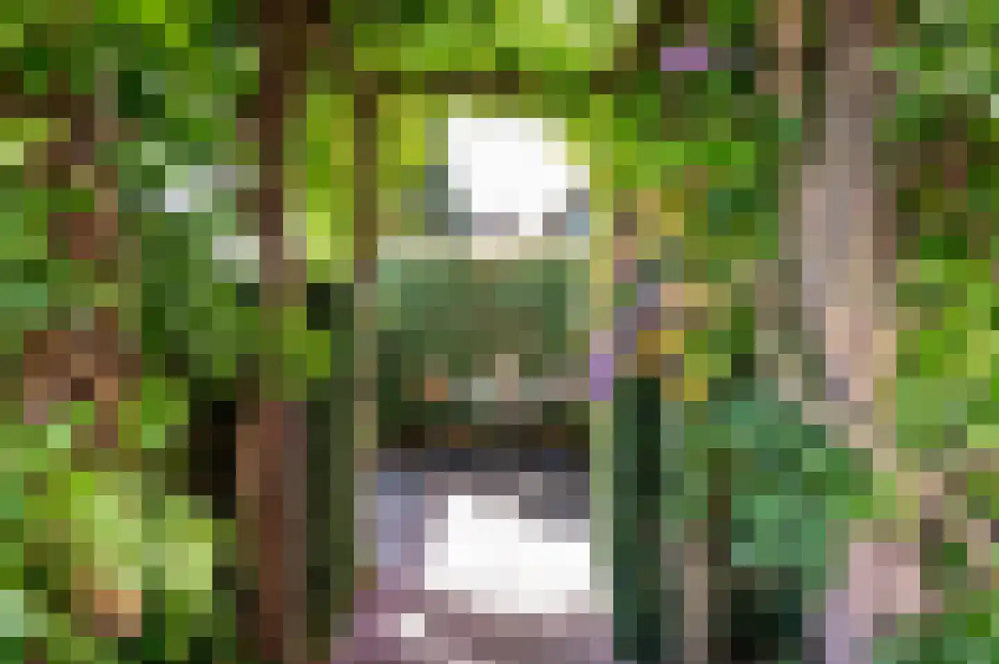 Driestweg 26 a Nunspeet thumbnail 30