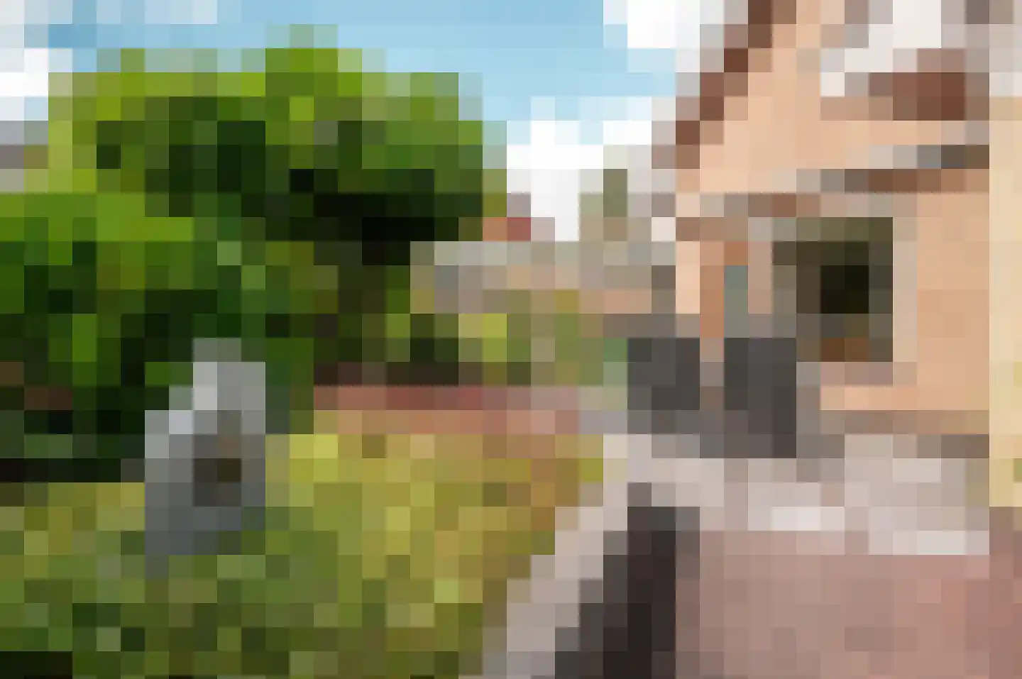 Driestweg 26 a Nunspeet thumbnail 31