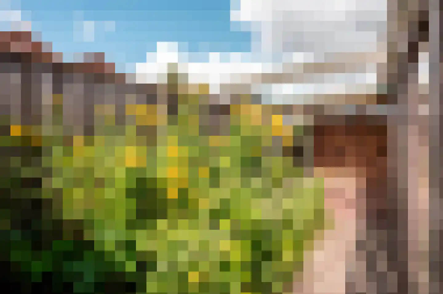 Driestweg 26 a Nunspeet thumbnail 32