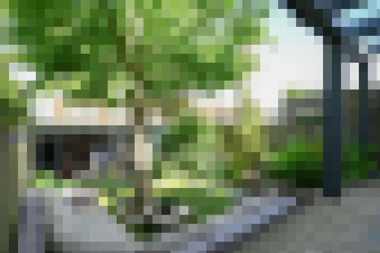 Driestweg 35 Bussum thumbnail 27