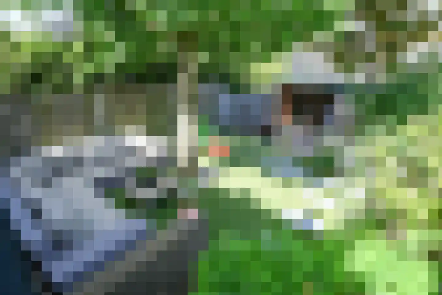 Driestweg 35 Bussum thumbnail 31