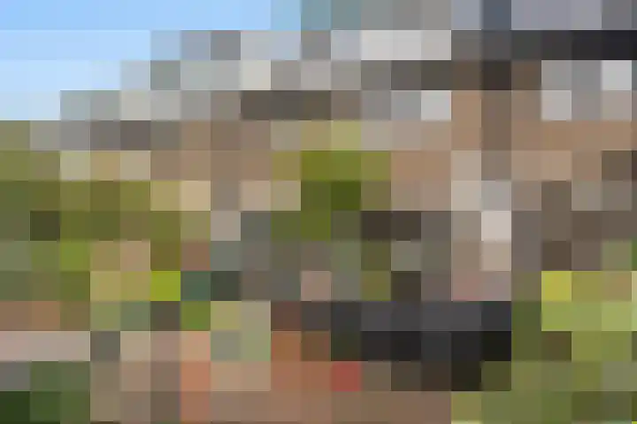 Driestweg 39 Bussum thumbnail 19