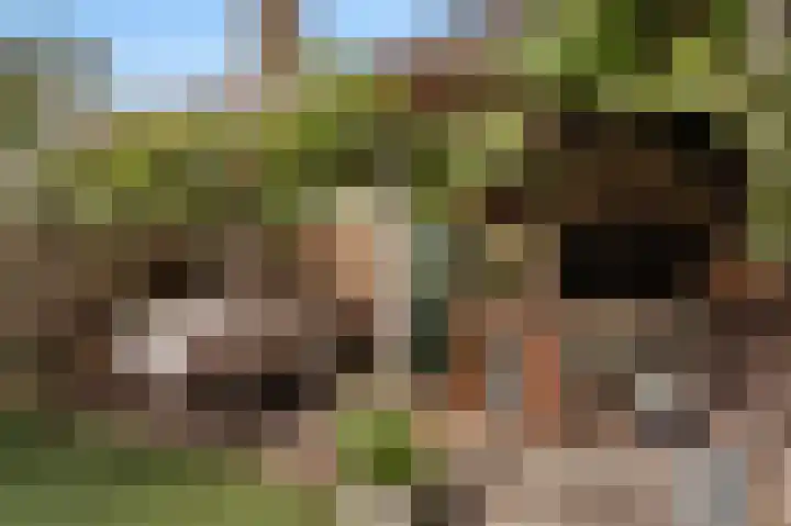 Driestweg 39 Bussum thumbnail 22