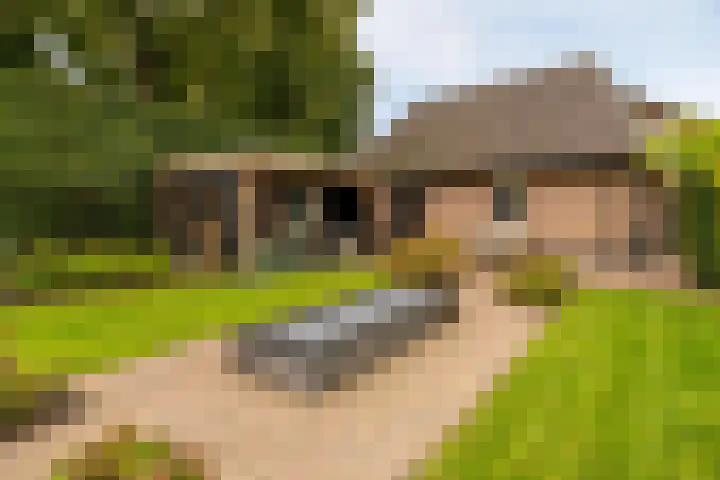 Driestweg 42 Nunspeet thumbnail 4