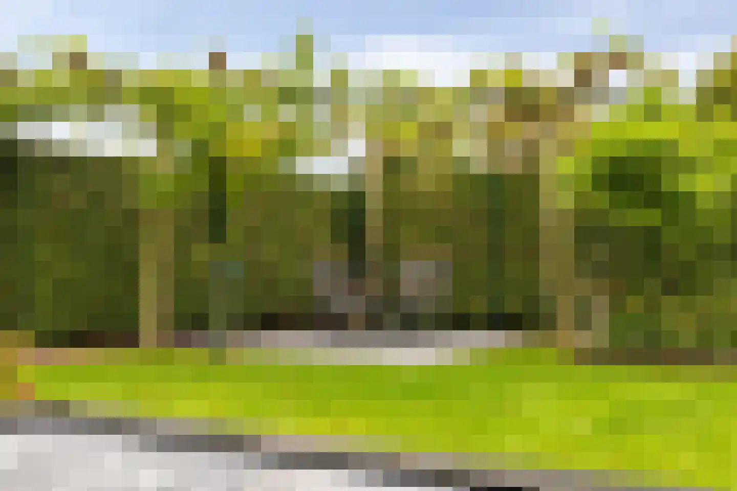 Driestweg 42 Nunspeet thumbnail 48