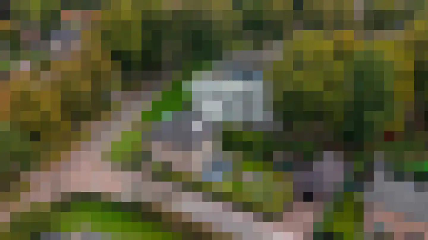 Driestweg 42 Nunspeet thumbnail 5