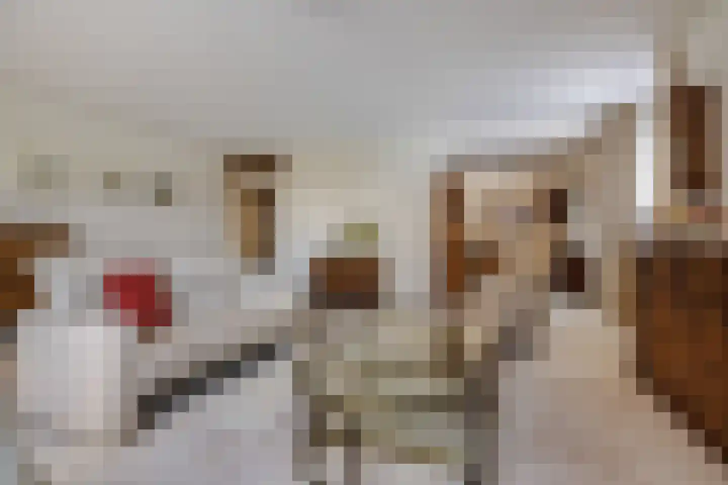 Driesveldlaan 77 Weert thumbnail 14