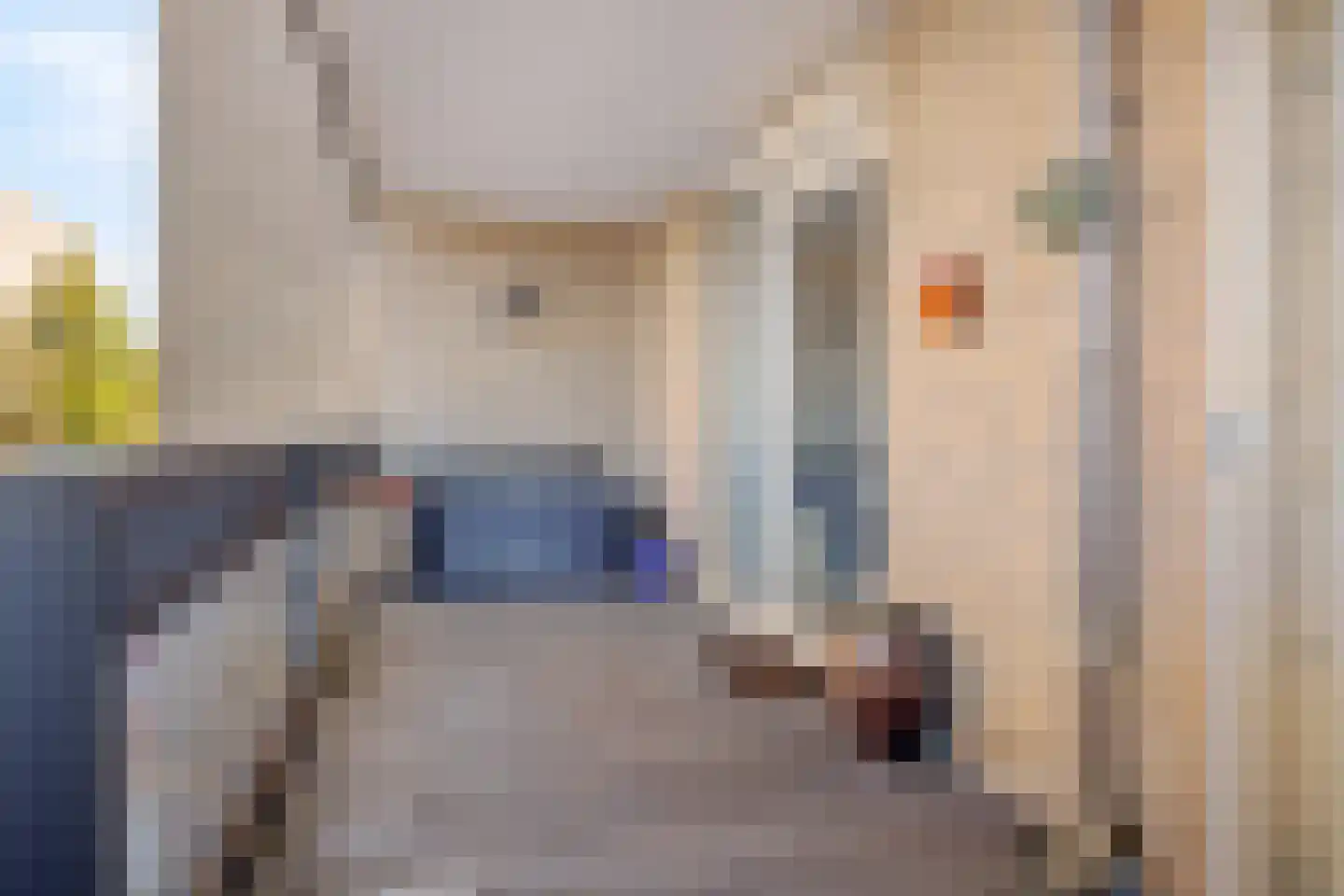 Driesveldlaan 77 Weert thumbnail 30