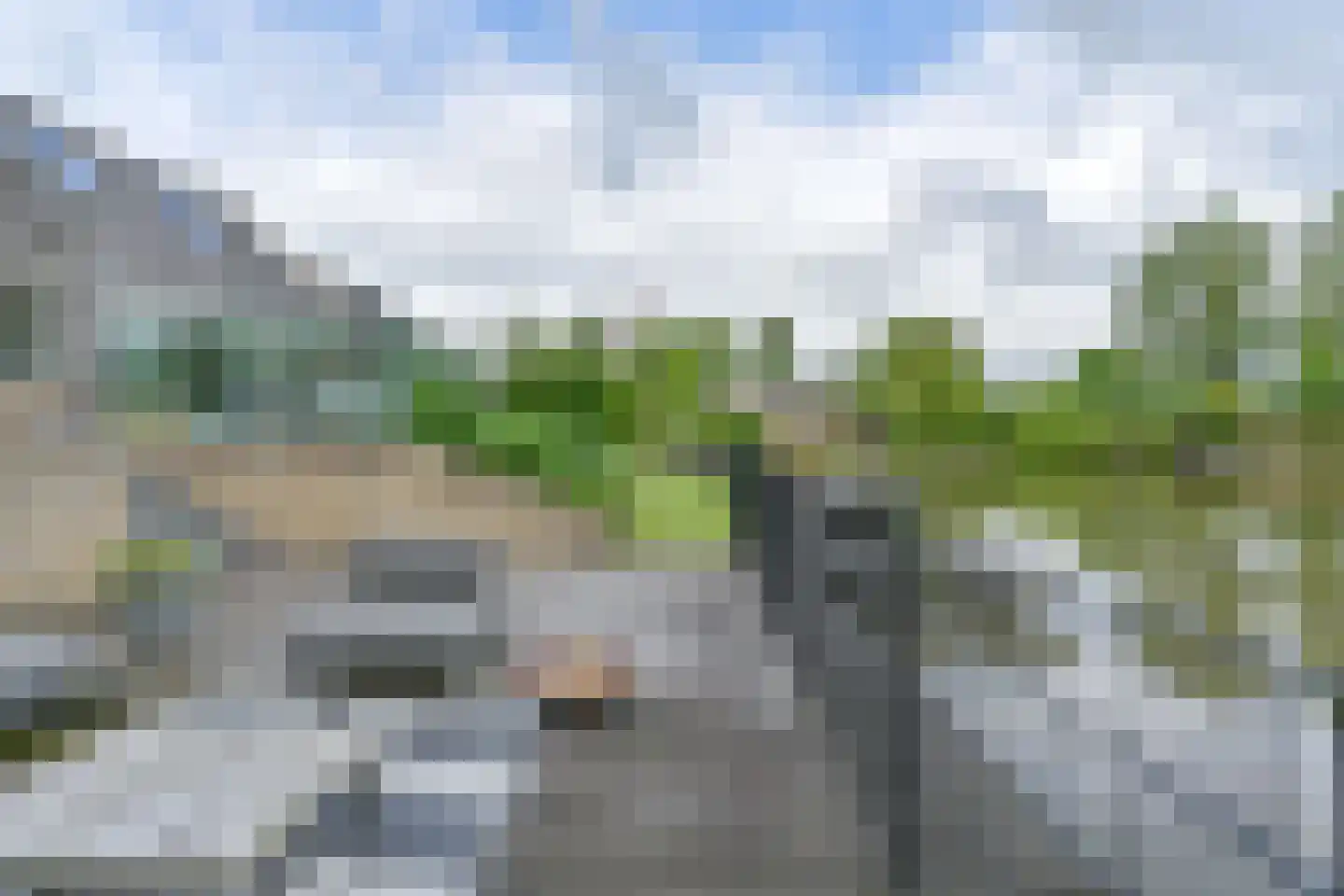 Drieteenspecht 48 Emmen thumbnail 101
