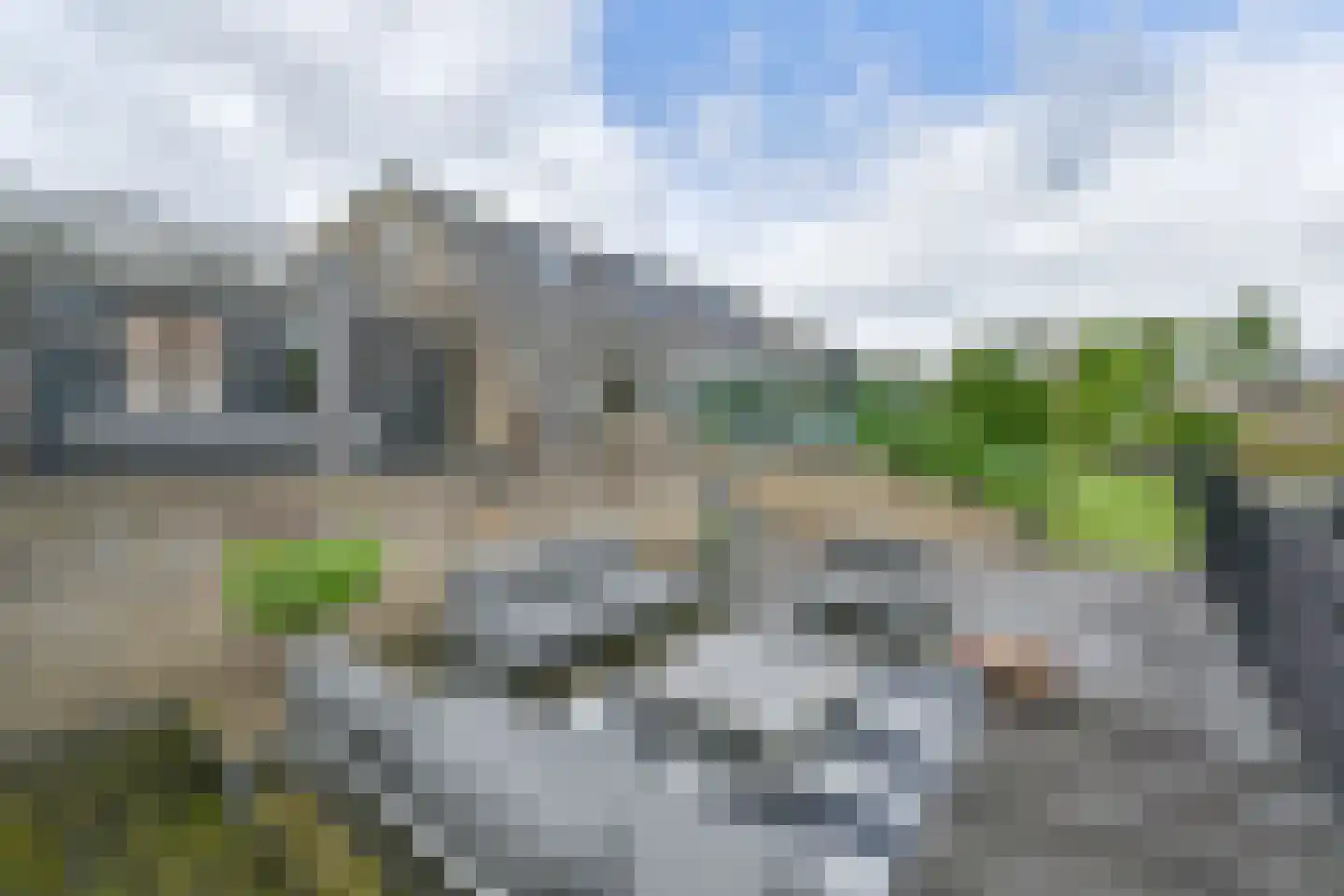 Drieteenspecht 48 Emmen thumbnail 102