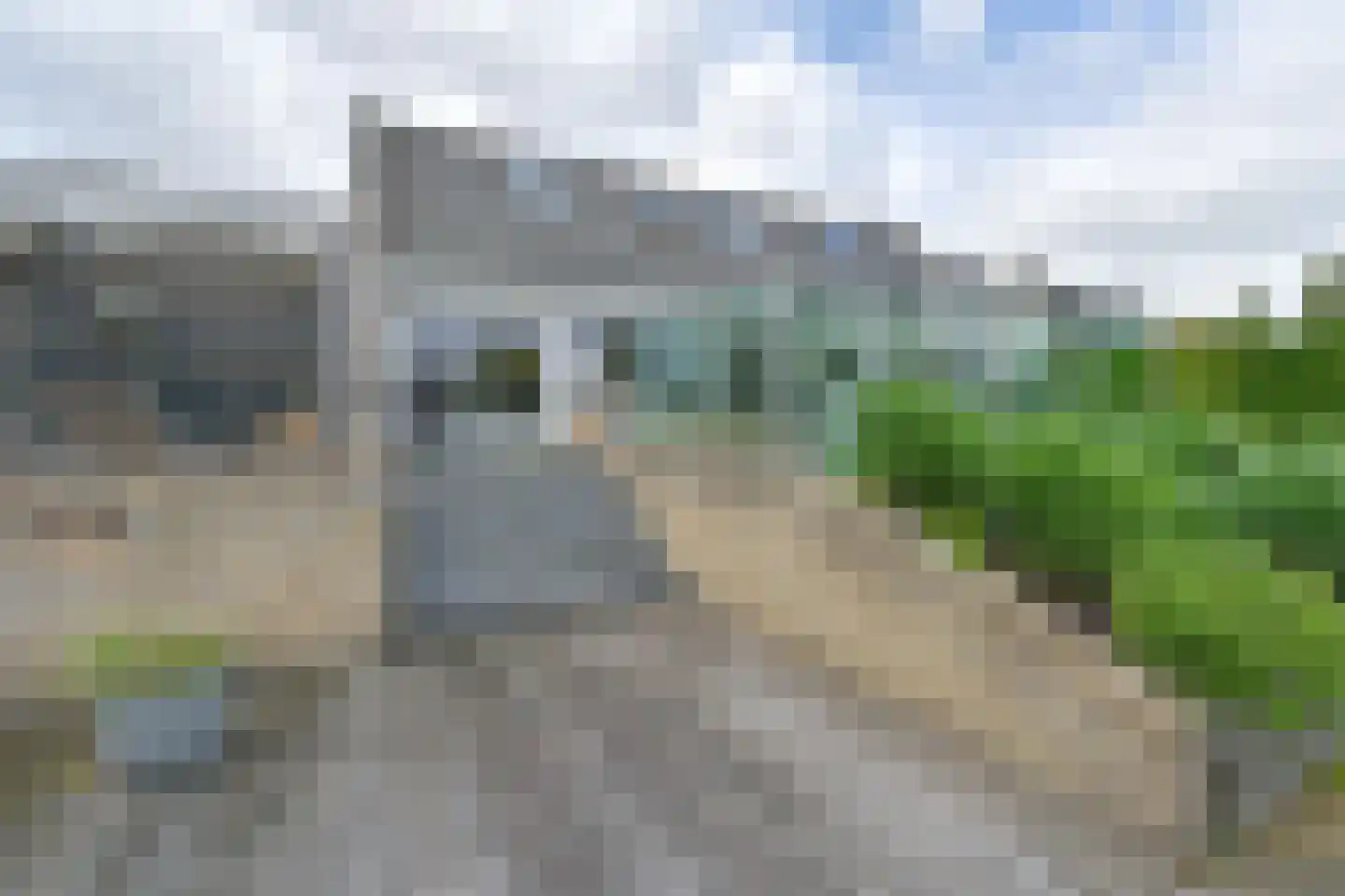 Drieteenspecht 48 Emmen thumbnail 104