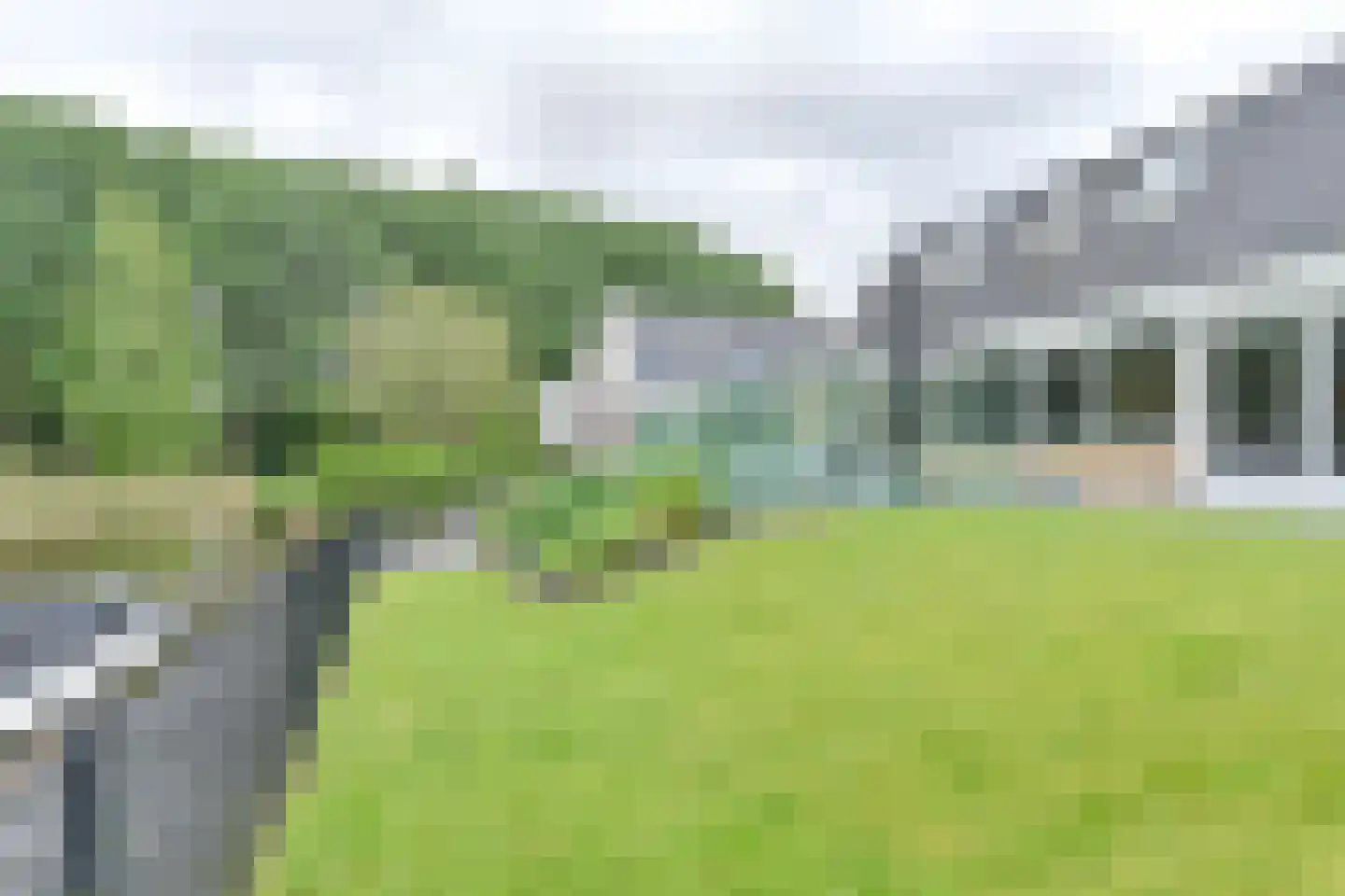 Drieteenspecht 48 Emmen thumbnail 105