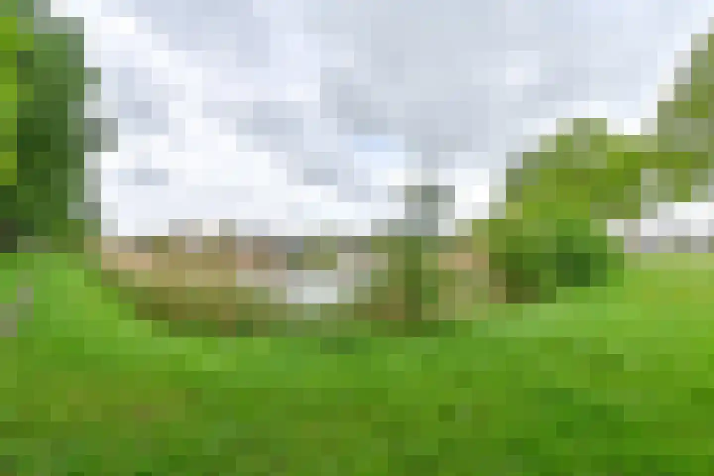 Drieteenspecht 48 Emmen thumbnail 106