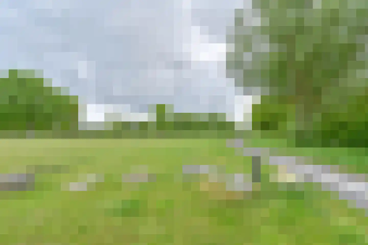 Drieteenspecht 48 Emmen thumbnail 107