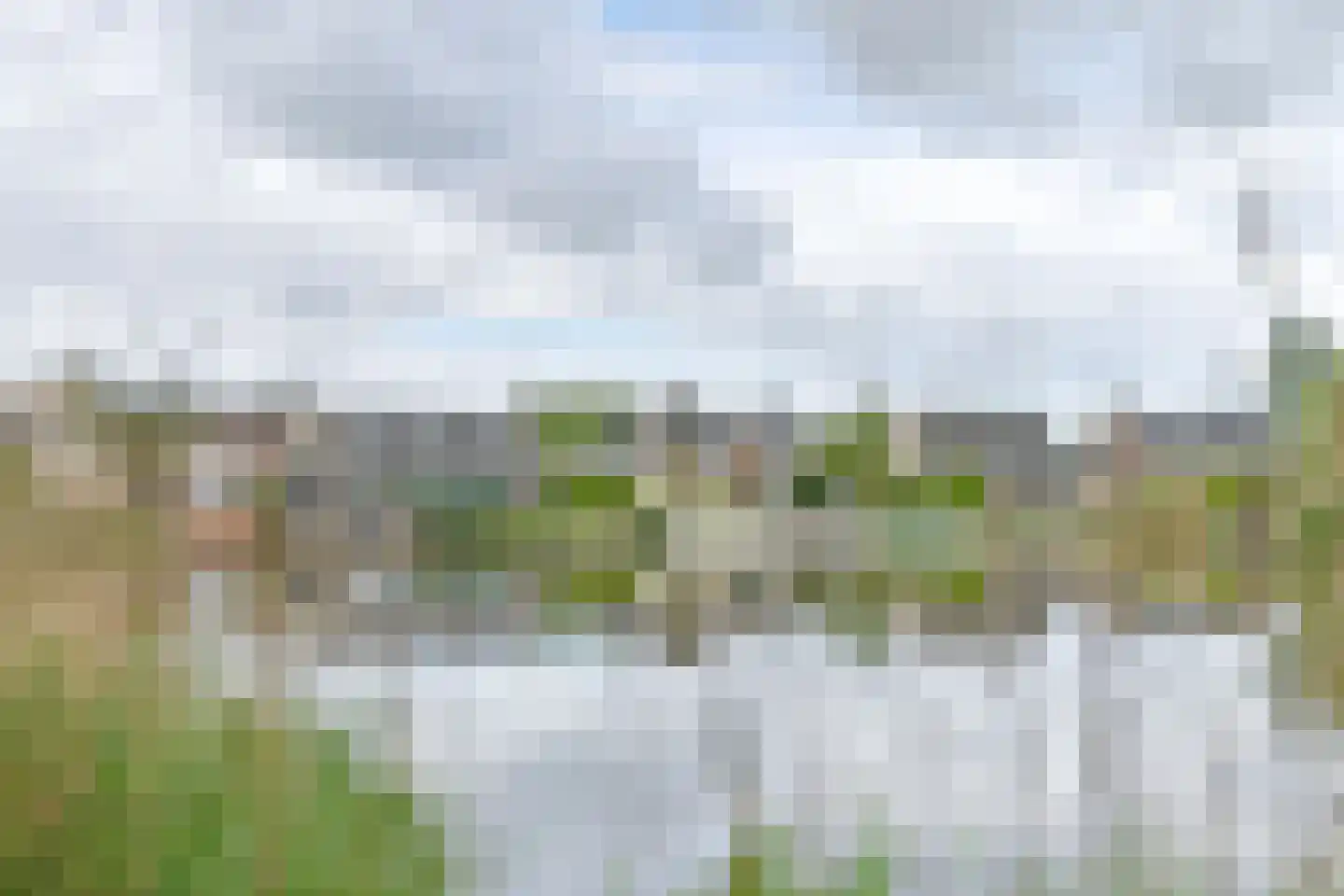 Drieteenspecht 48 Emmen thumbnail 108