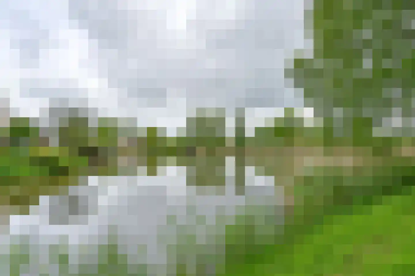 Drieteenspecht 48 Emmen thumbnail 109