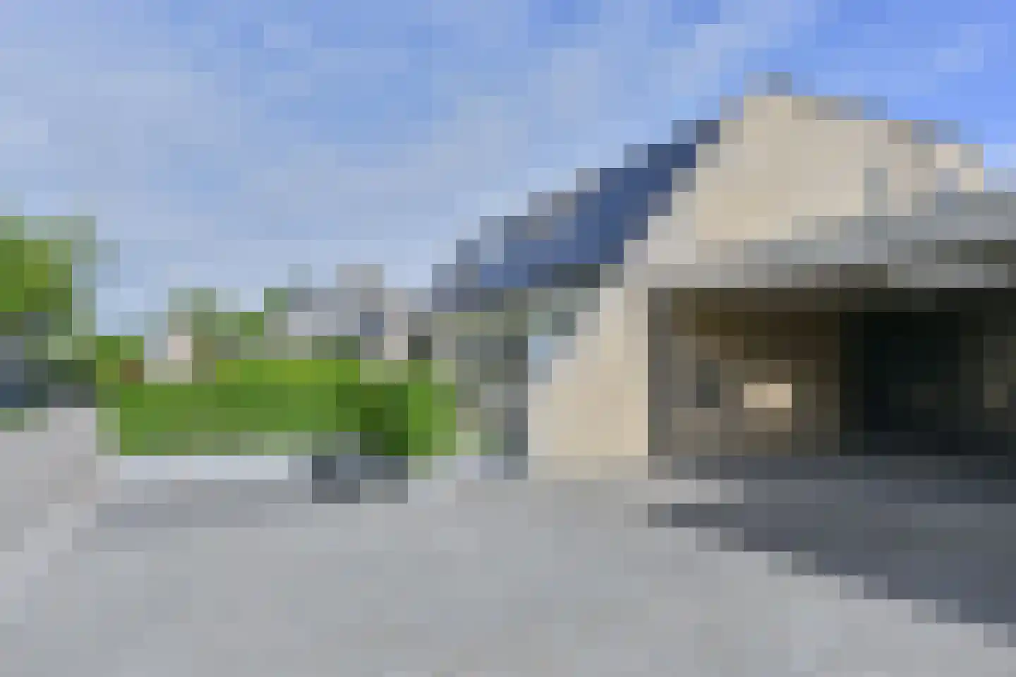 Drieteenspecht 48 Emmen thumbnail 11
