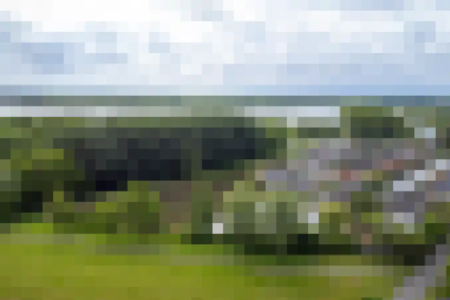 Drieteenspecht 48 Emmen thumbnail 110