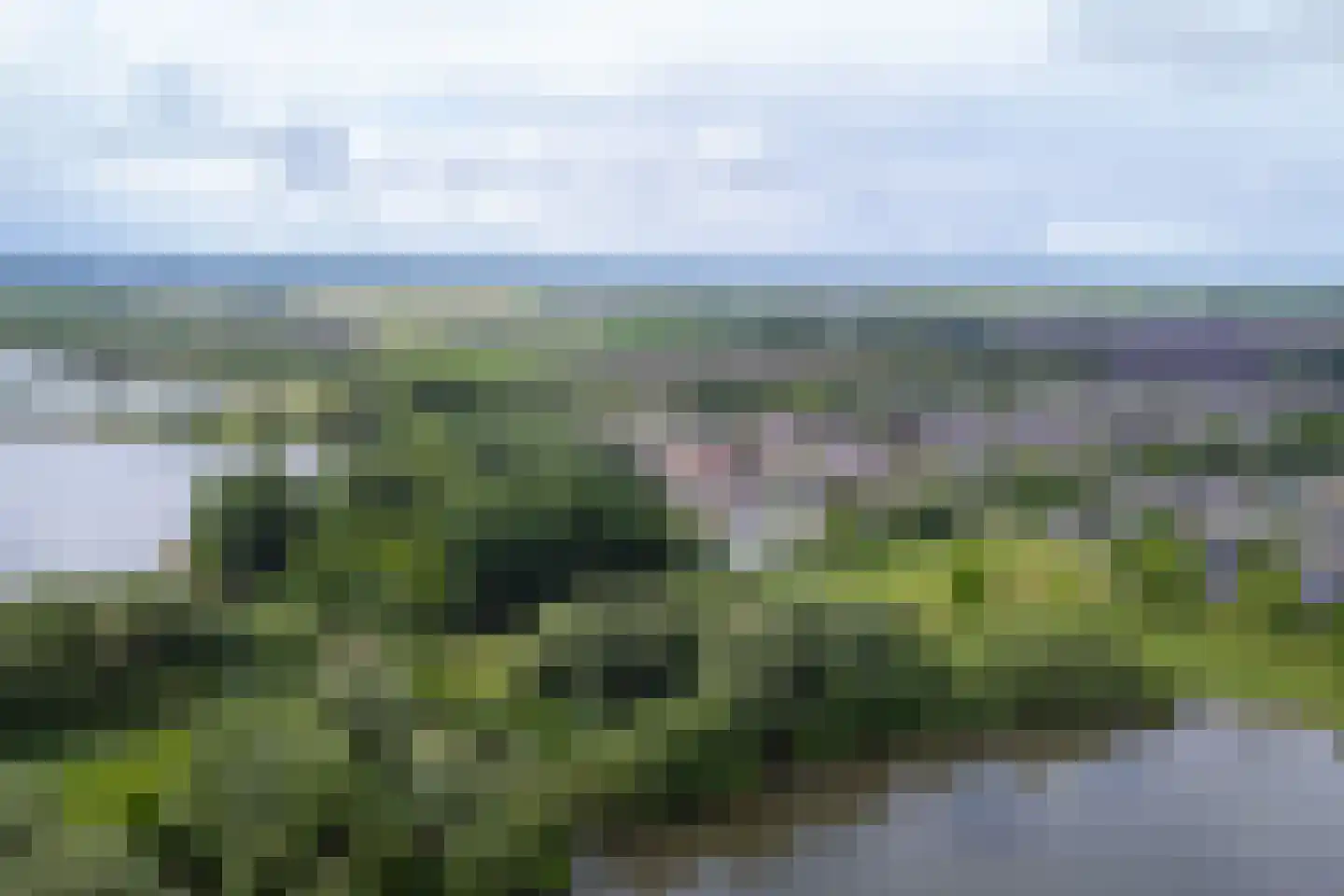 Drieteenspecht 48 Emmen thumbnail 112