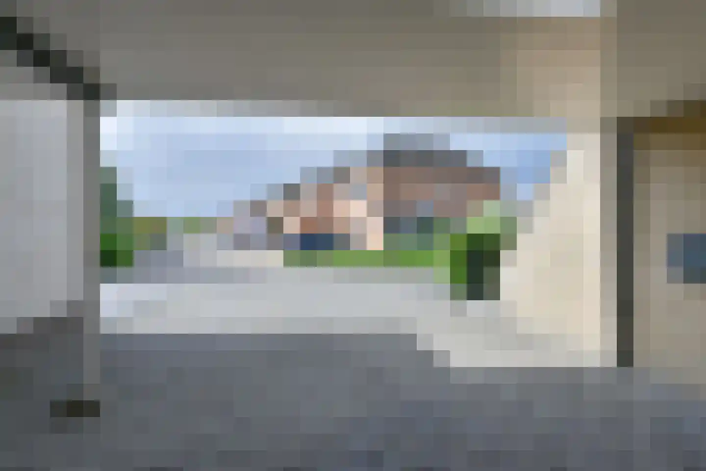 Drieteenspecht 48 Emmen thumbnail 12