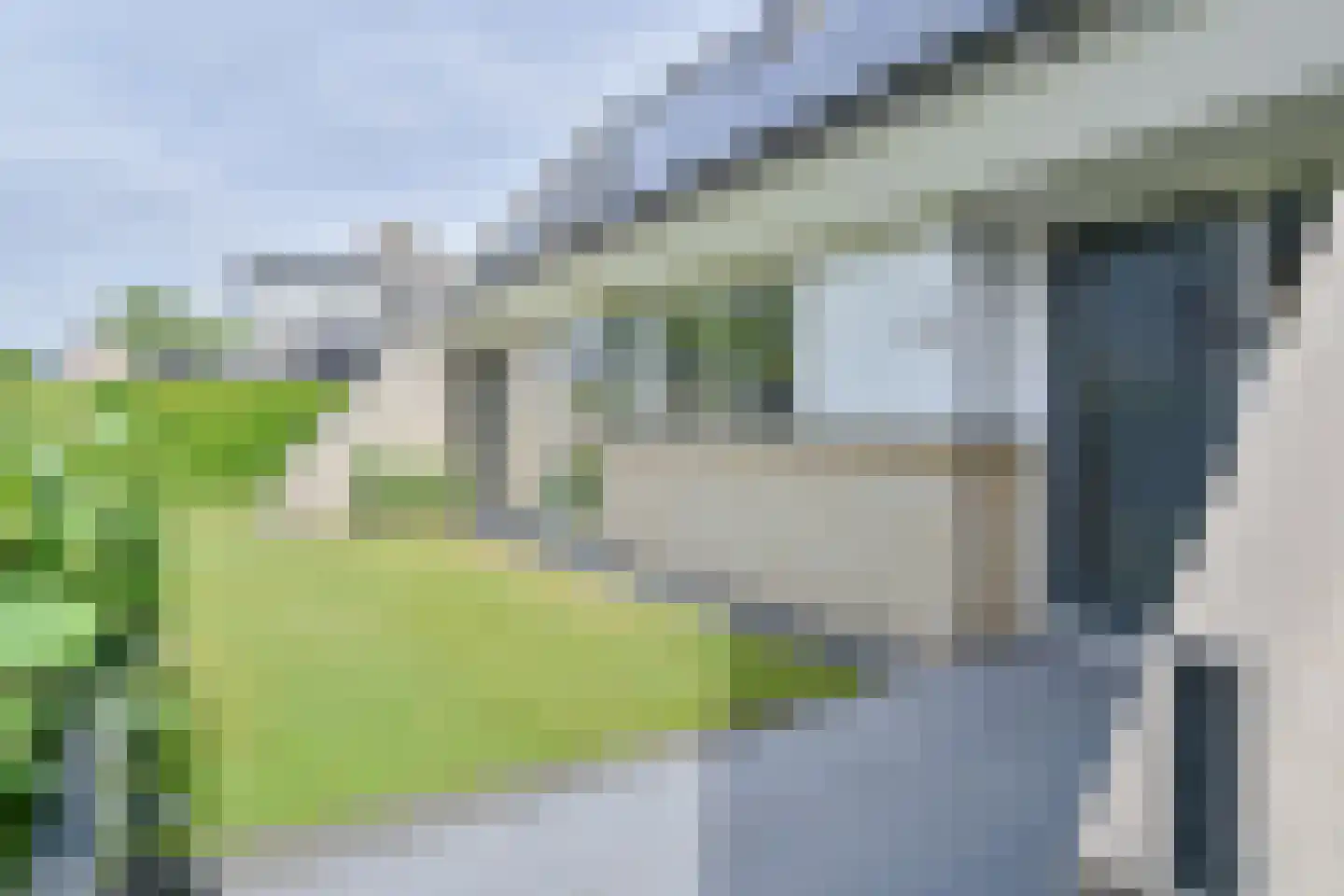 Drieteenspecht 48 Emmen thumbnail 13
