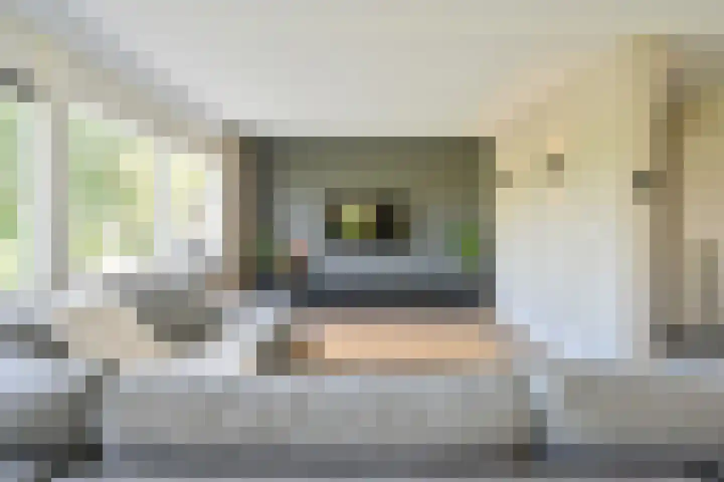 Drieteenspecht 48 Emmen thumbnail 22