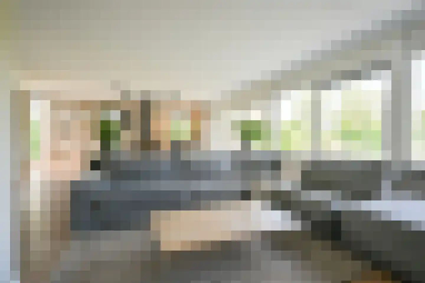Drieteenspecht 48 Emmen thumbnail 24