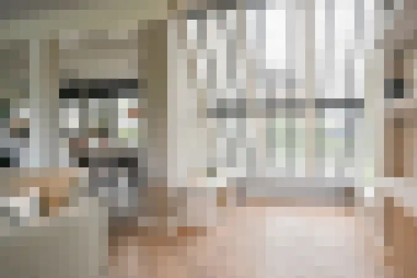 Drieteenspecht 48 Emmen thumbnail 31