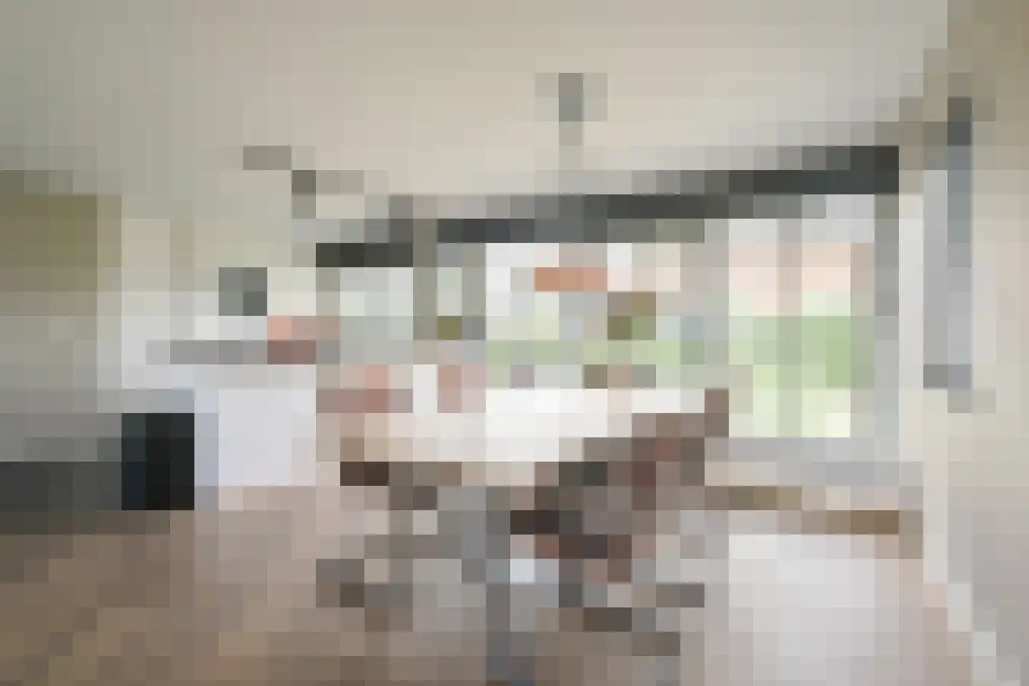 Drieteenspecht 48 Emmen thumbnail 33