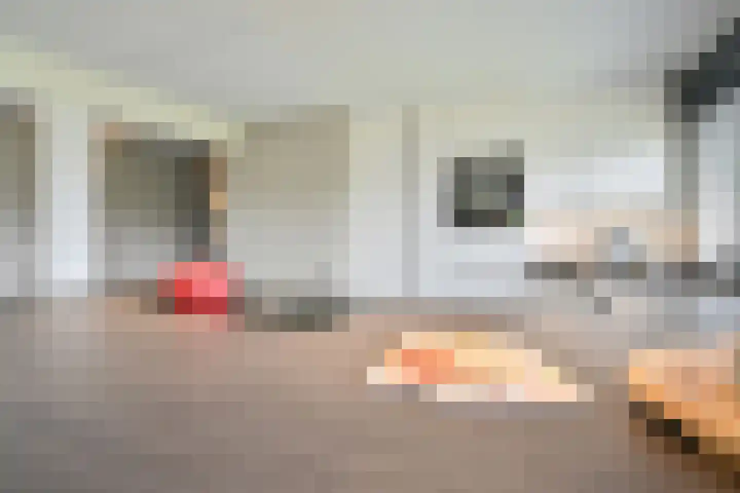 Drieteenspecht 48 Emmen thumbnail 39