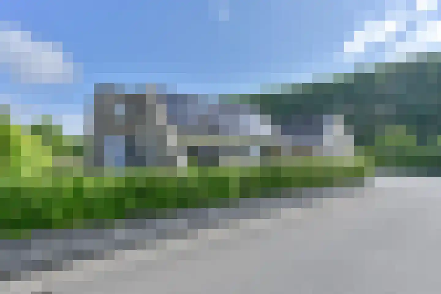 Drieteenspecht 48 Emmen thumbnail 4