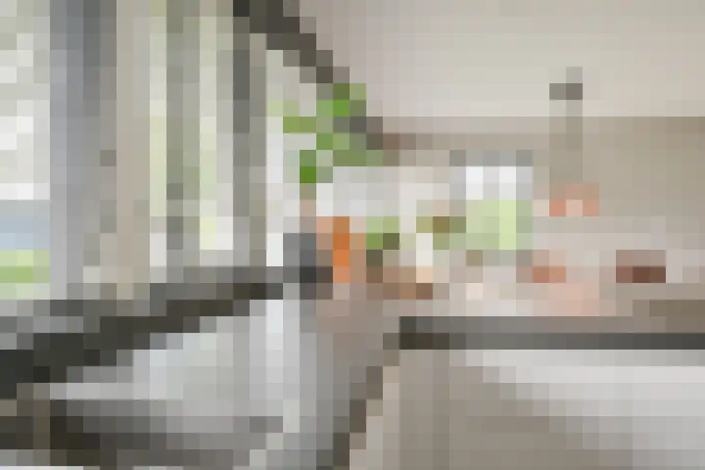 Drieteenspecht 48 Emmen thumbnail 42
