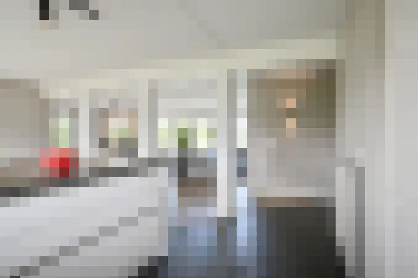 Drieteenspecht 48 Emmen thumbnail 43