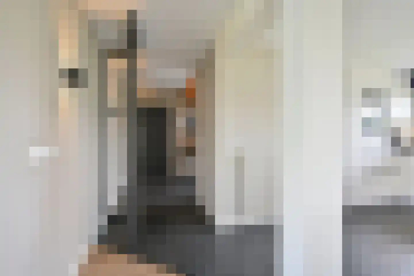 Drieteenspecht 48 Emmen thumbnail 44