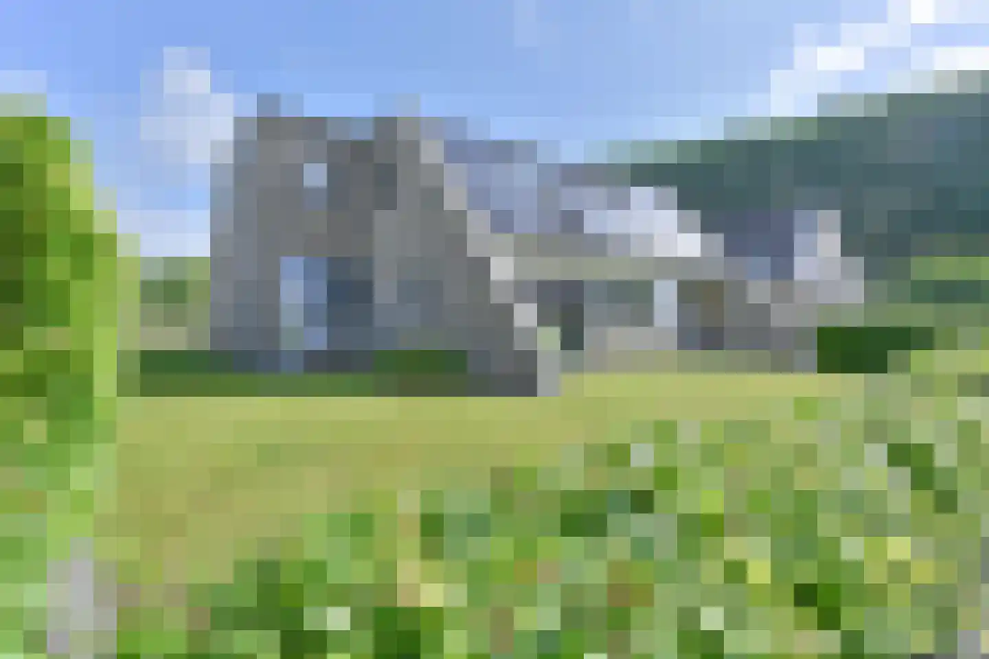 Drieteenspecht 48 Emmen thumbnail 5