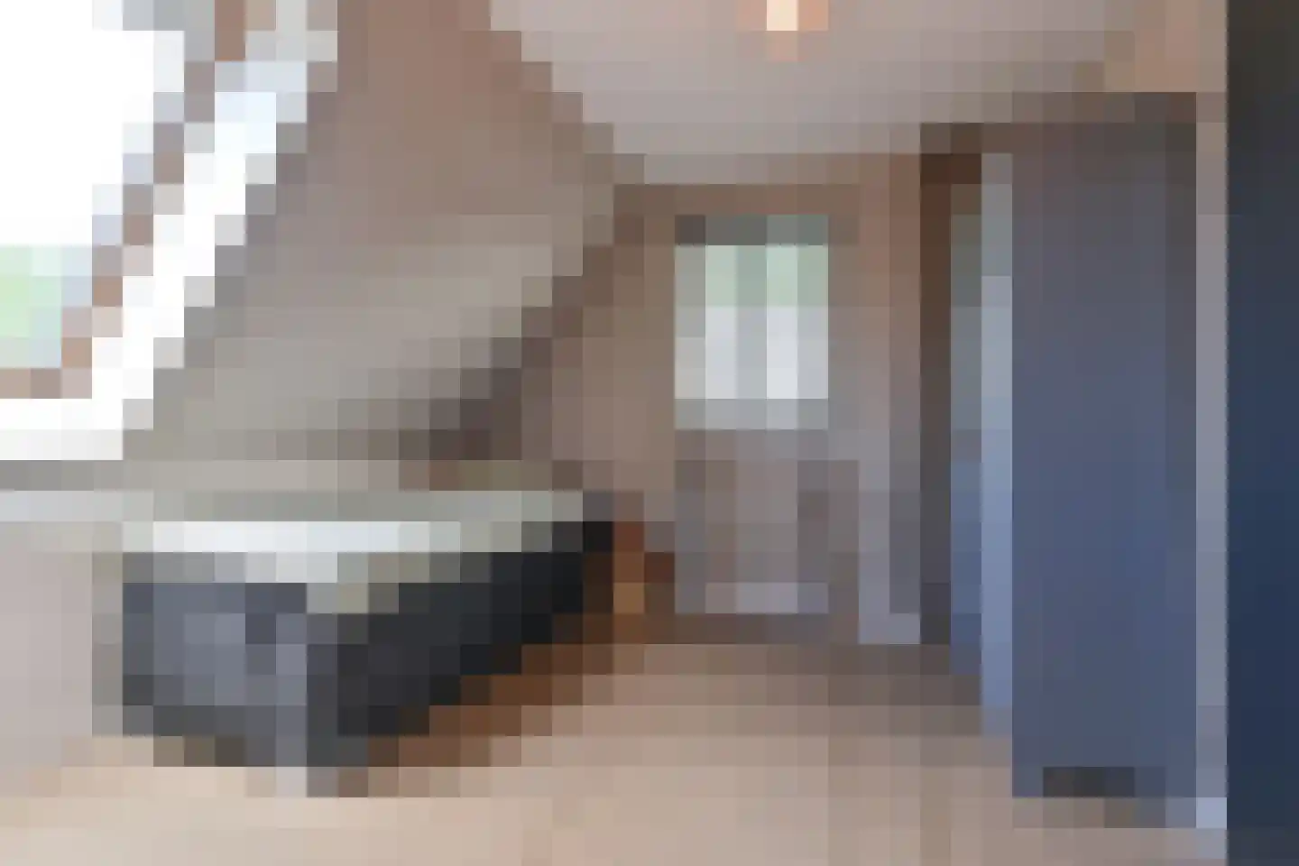 Drieteenspecht 48 Emmen thumbnail 58