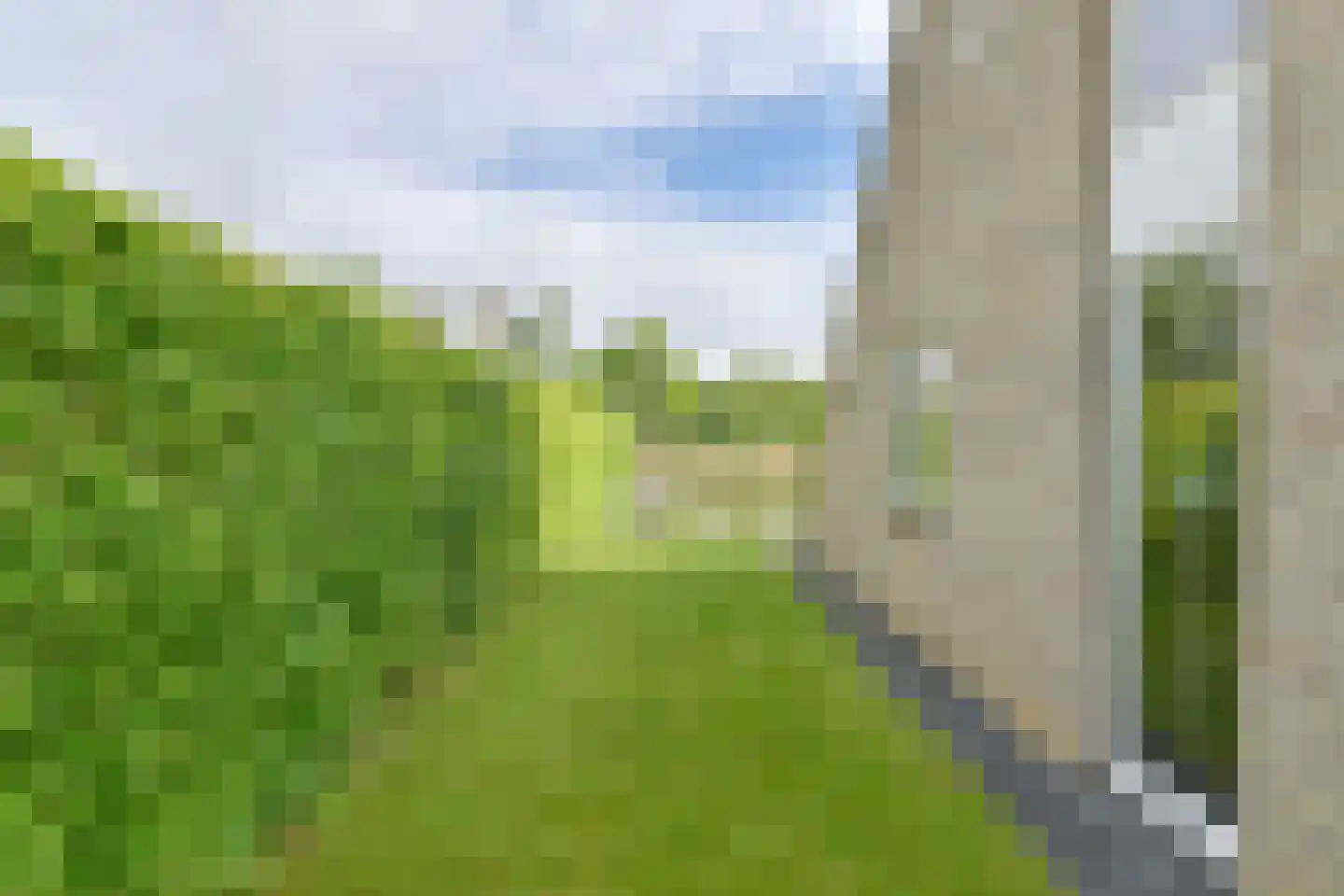 Drieteenspecht 48 Emmen thumbnail 6