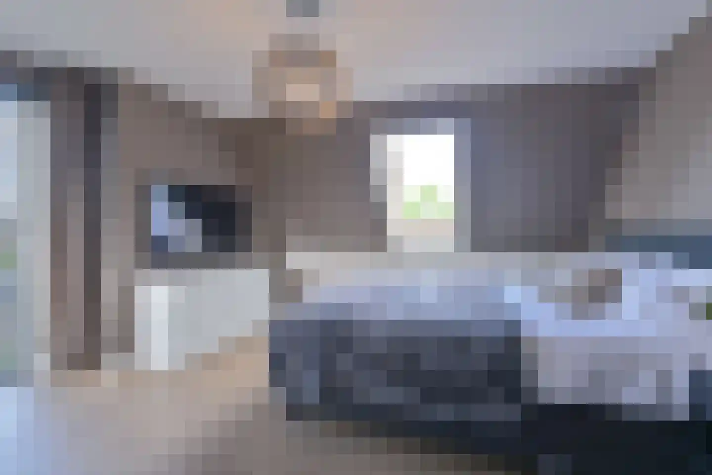 Drieteenspecht 48 Emmen thumbnail 68