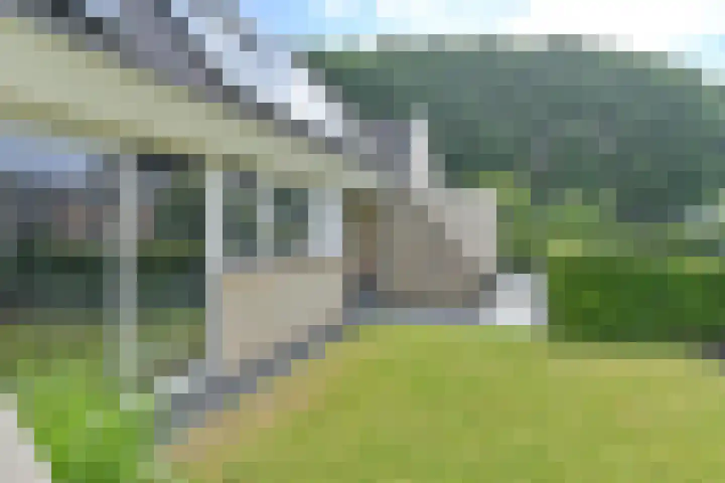 Drieteenspecht 48 Emmen thumbnail 7