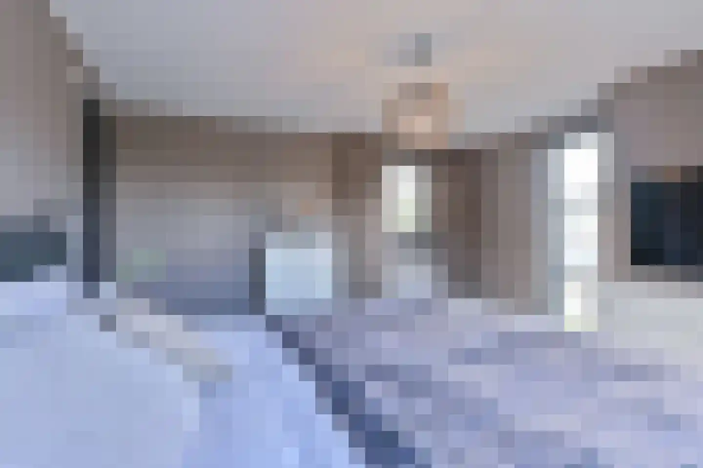 Drieteenspecht 48 Emmen thumbnail 71