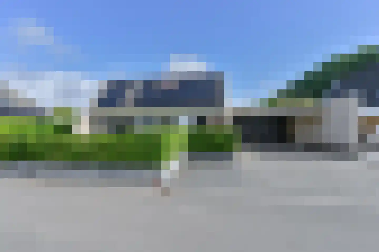 Drieteenspecht 48 Emmen thumbnail 8