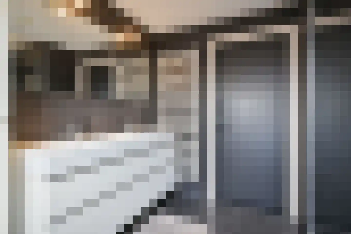 Drieteenspecht 48 Emmen thumbnail 82