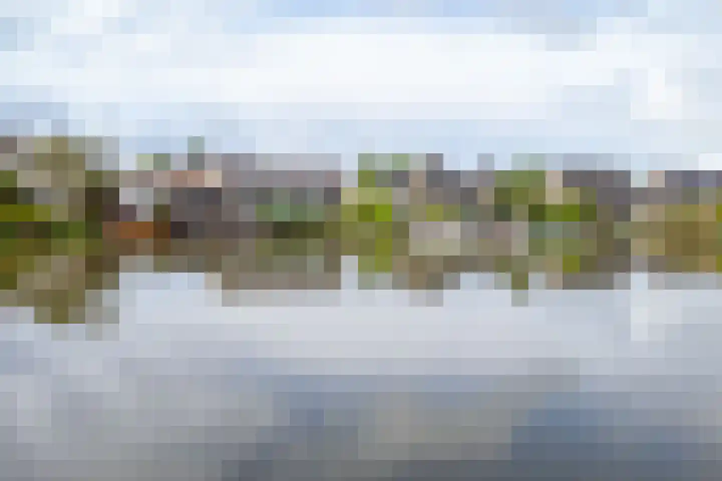 Drieteenspecht 48 Emmen thumbnail 83