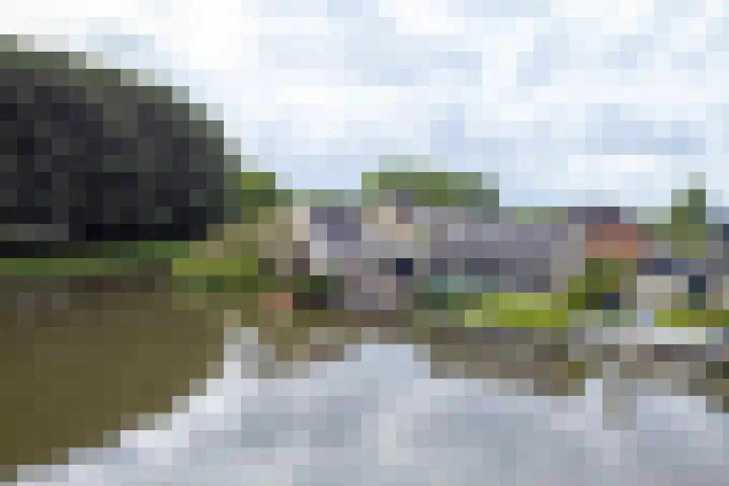 Drieteenspecht 48 Emmen thumbnail 84