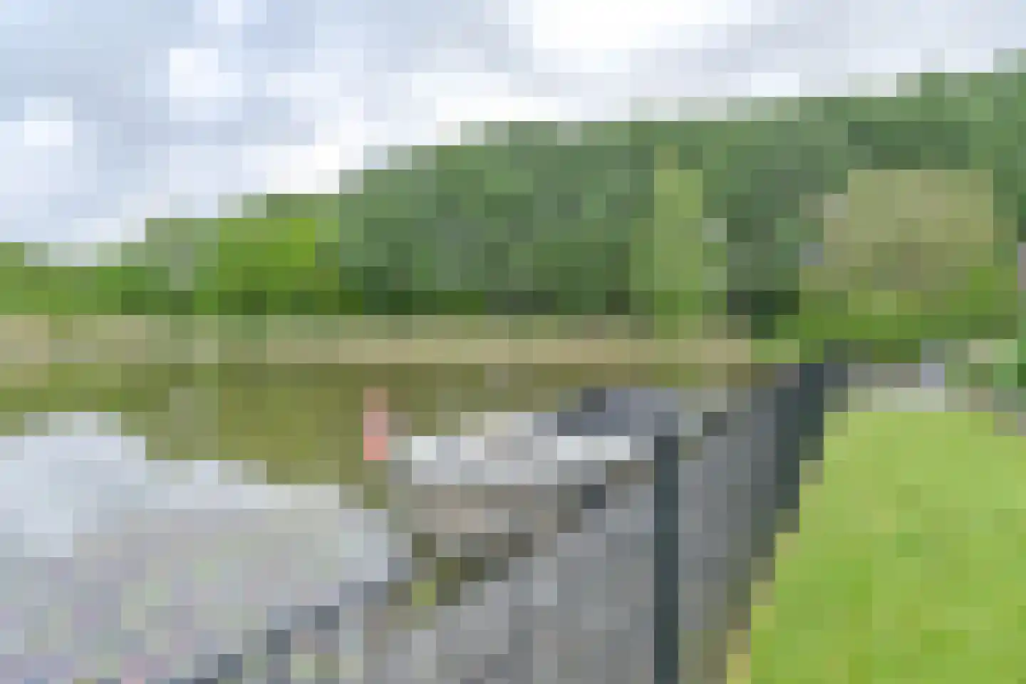 Drieteenspecht 48 Emmen thumbnail 87