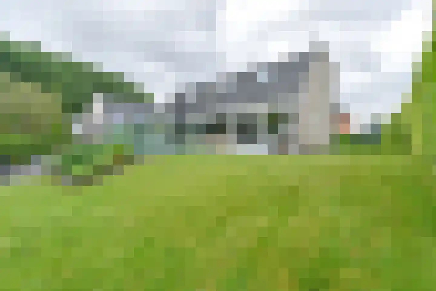 Drieteenspecht 48 Emmen thumbnail 88